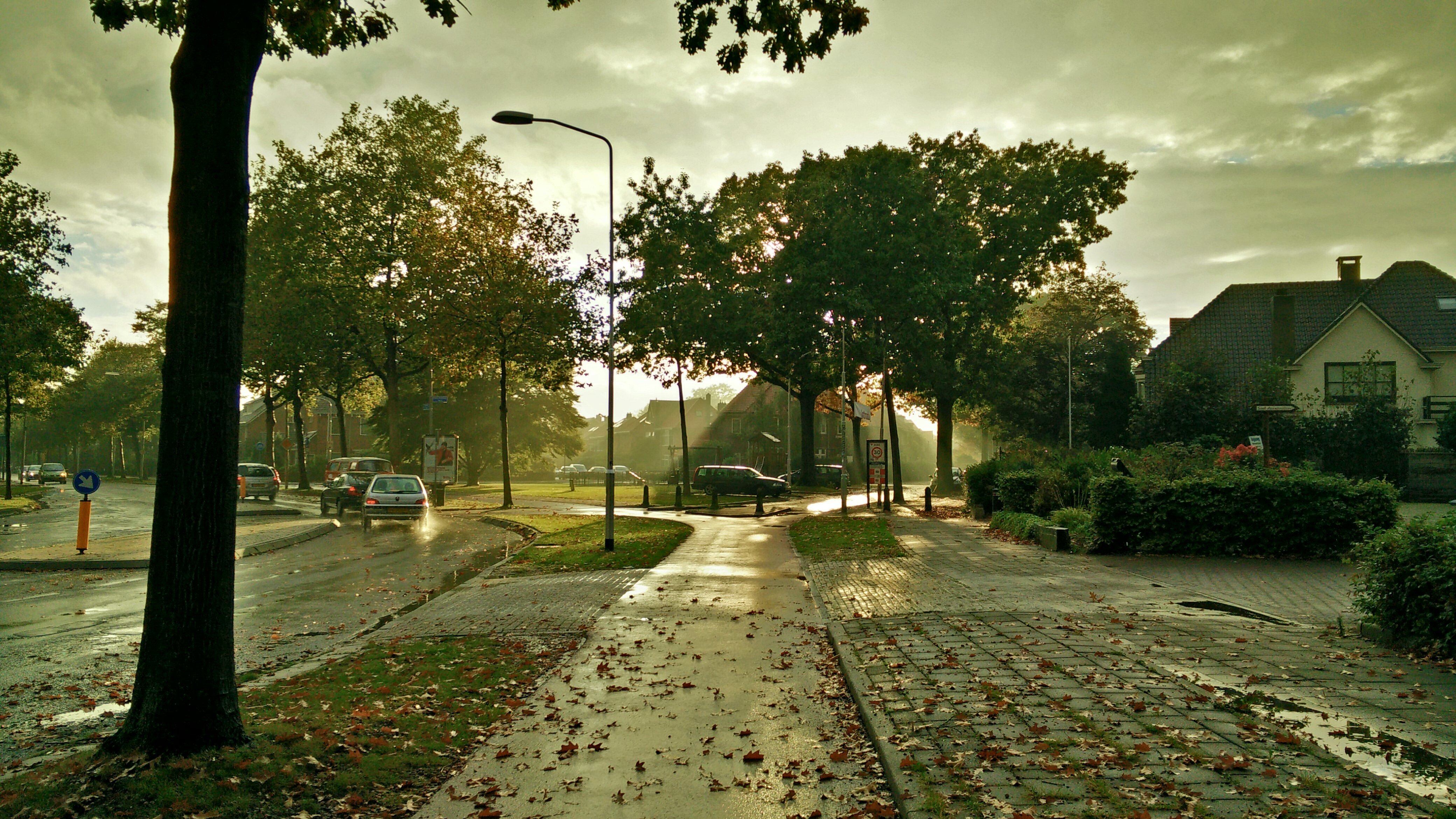 Городок понравился мне. Лето в городе. Осень в городе. Улица города. Дождливый город.