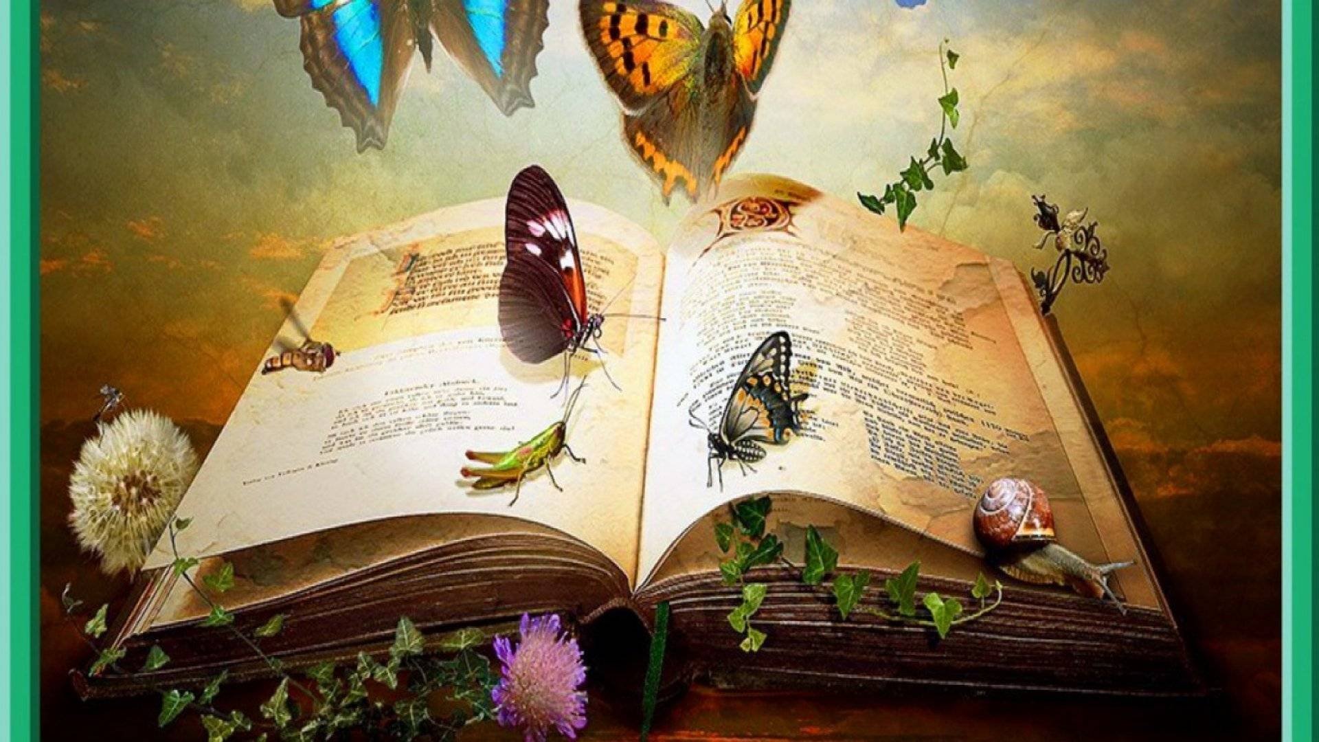 Волшебство слов. Сказочная книга. Красивый фон с книгами. Волшебная книга. Красивые иллюстрации к книгам.