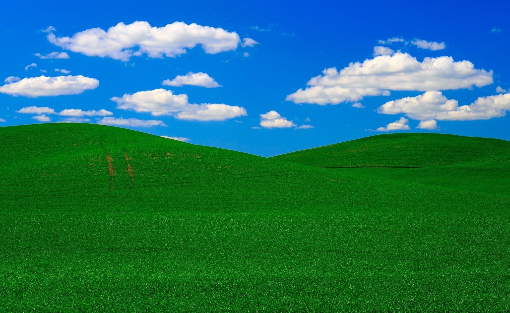 Pole to win. «Зеленые холмы». Пейзаж безмятежность. Поле Windows XP.