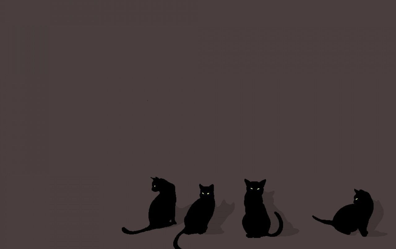 Черный четверо. Кот Минимализм. Обои на рабочий стол Минимализм. Кошка на черном фоне. Кошка арт Минимализм.