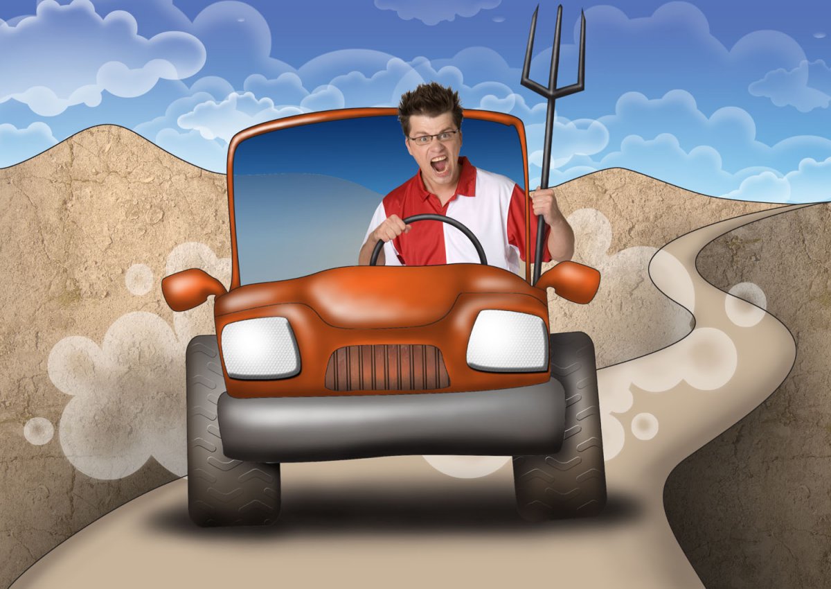 Картина шофер