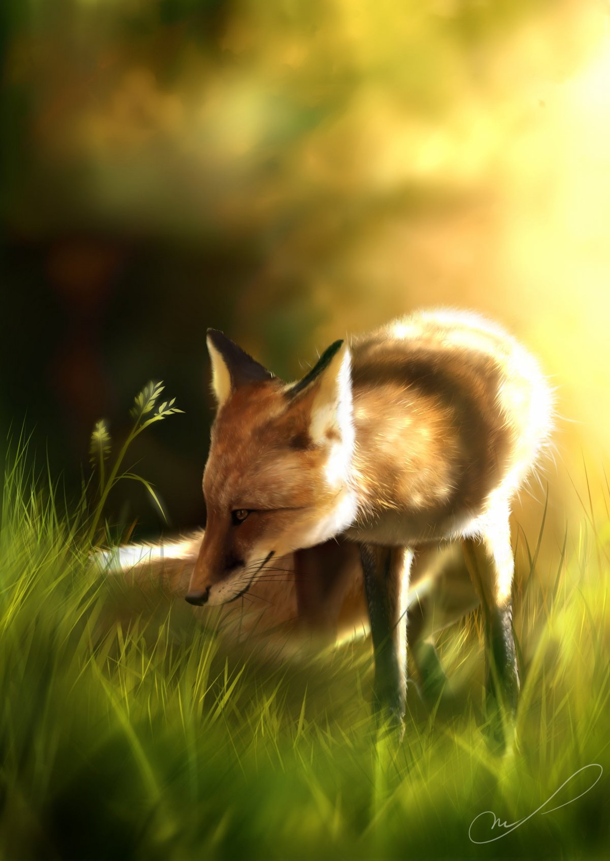 Красивая лиса арт