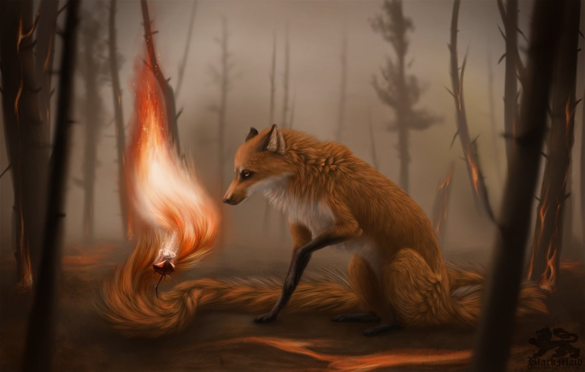 Лис фэнтези