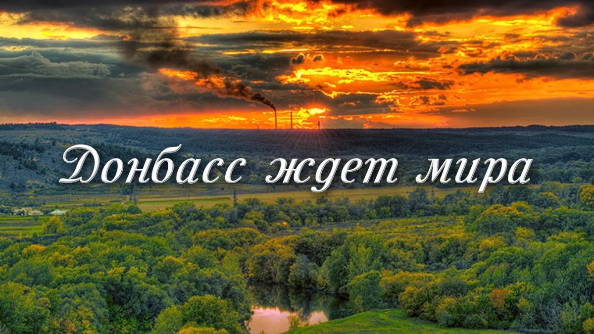 Ополченцы Донбасса