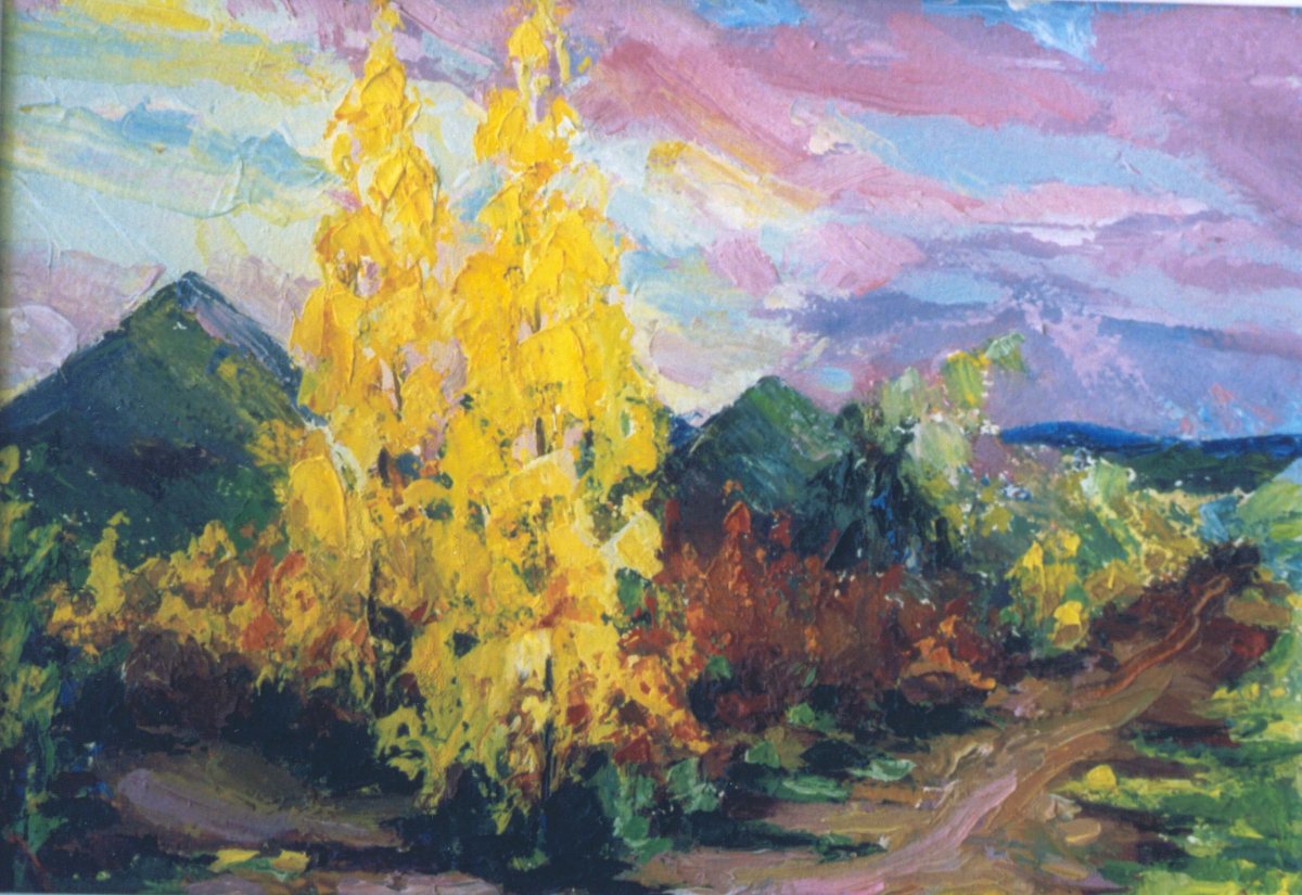 Украинский солдат в маске