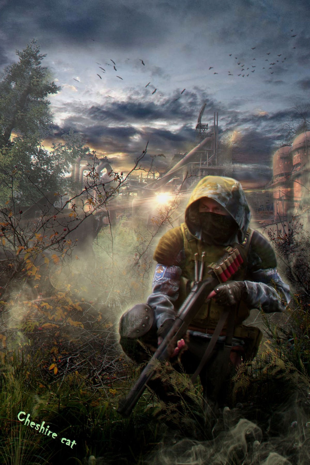 S.T.A.L.K.E.R. чистое небо Art