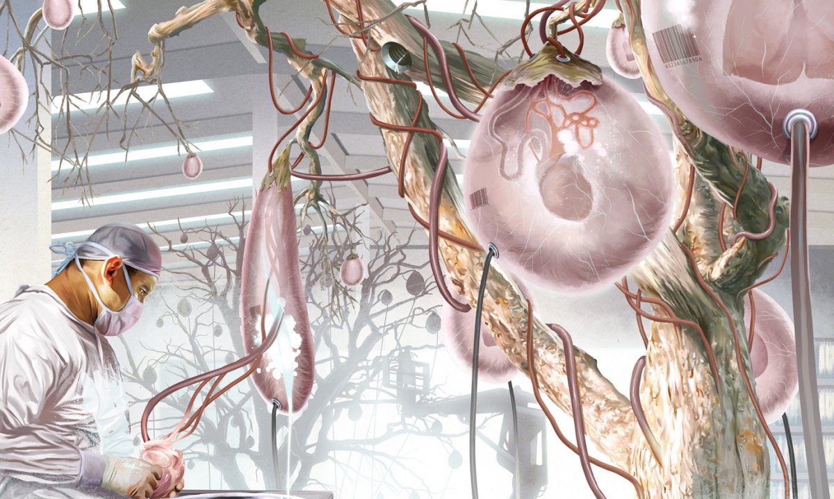 Валентин Ткач иллюстратор