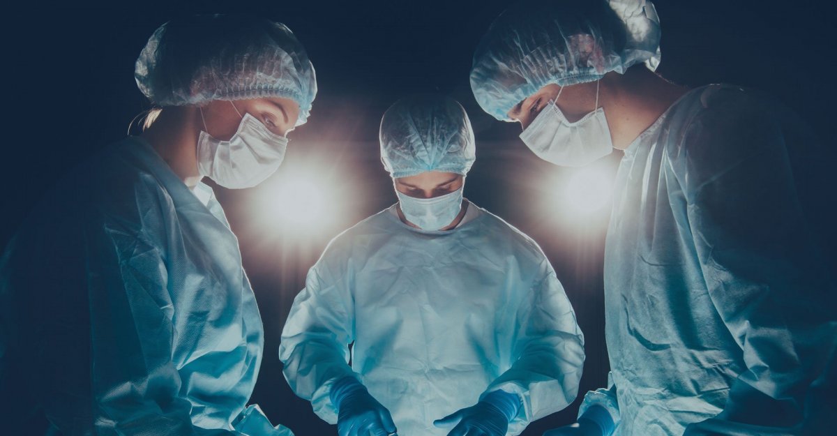 Обои в стиле анатомии