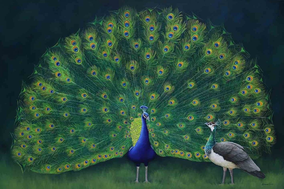 Изображения павлинов