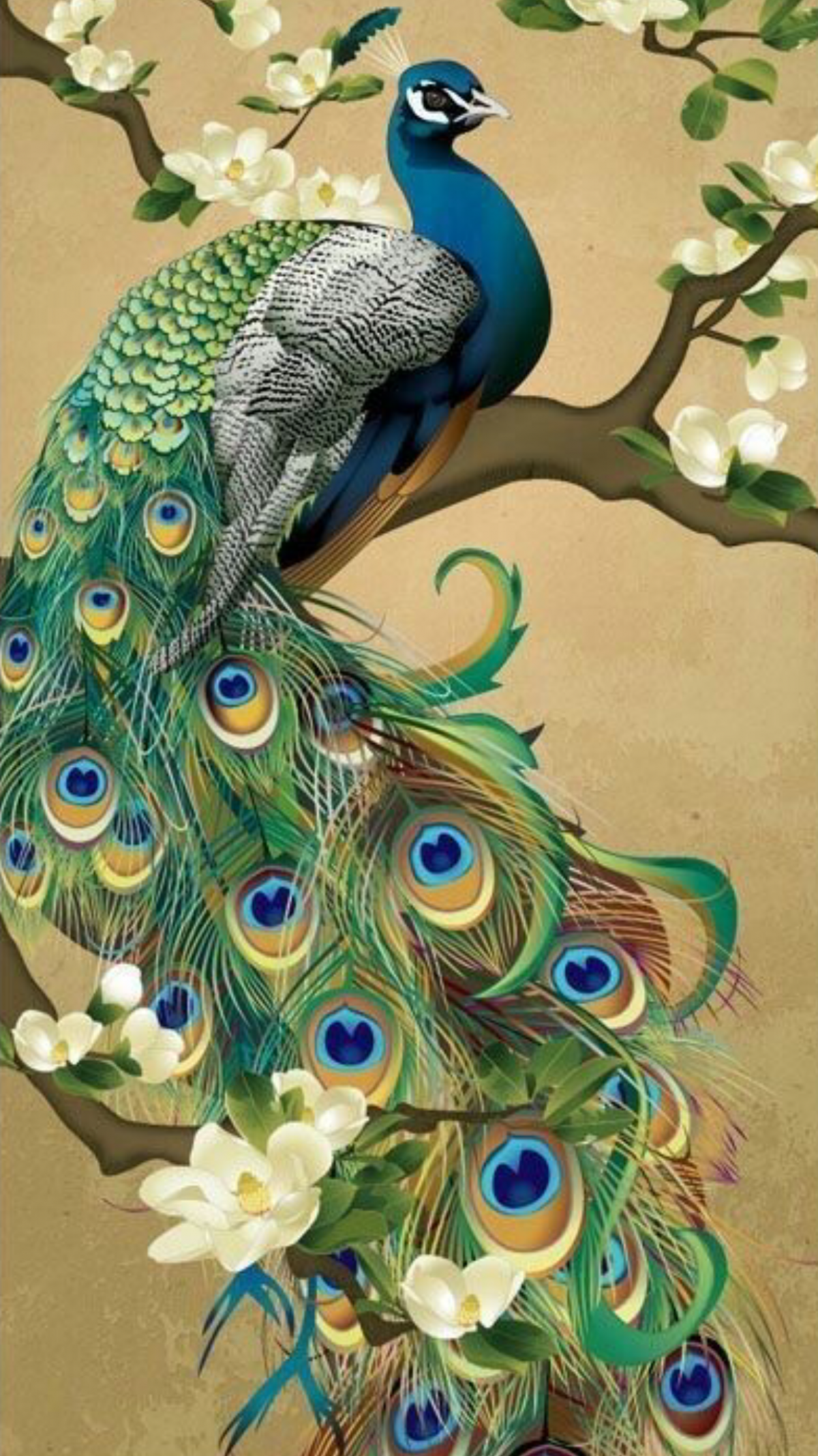 Бирюзовый Павлин