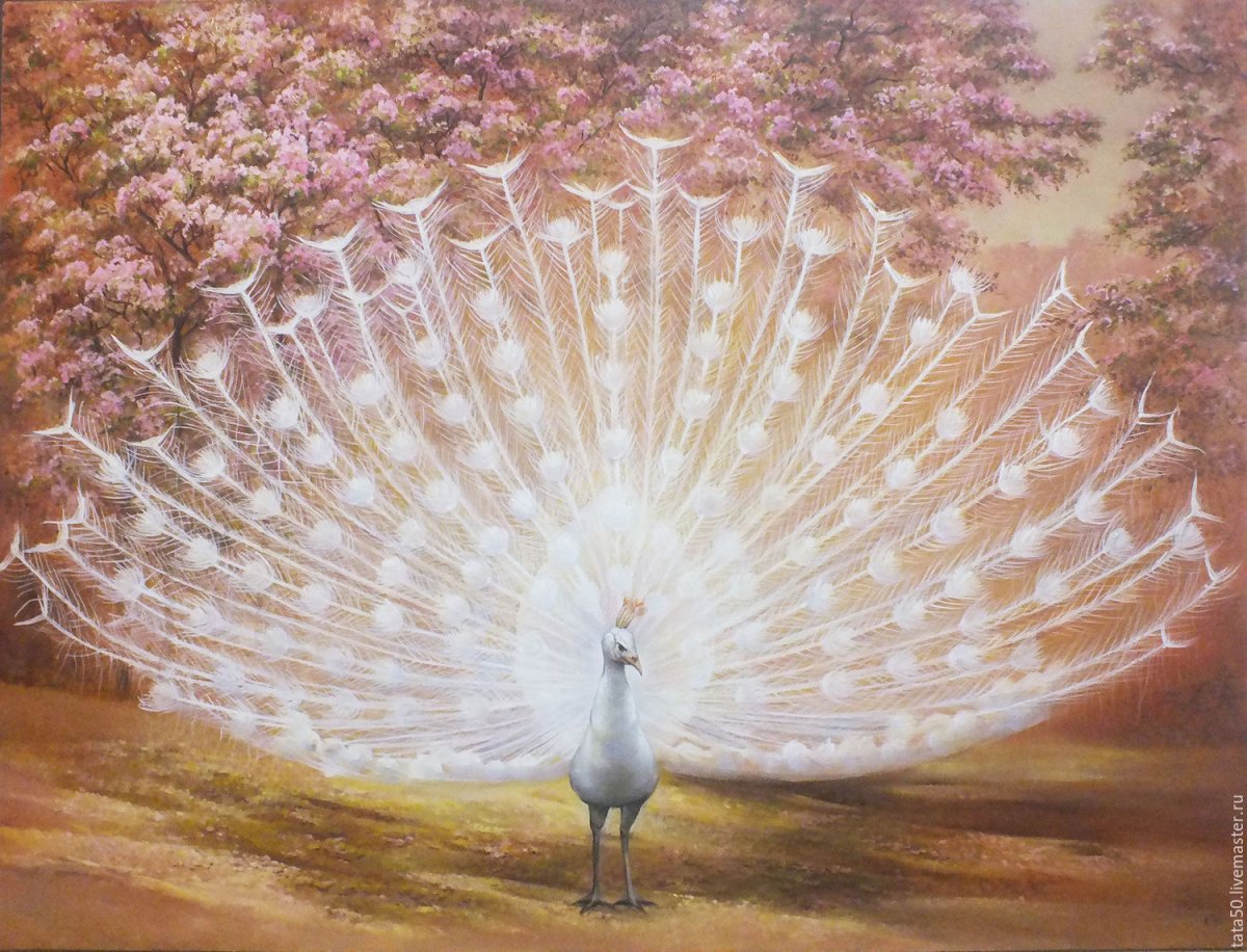 Белый Павлин картина