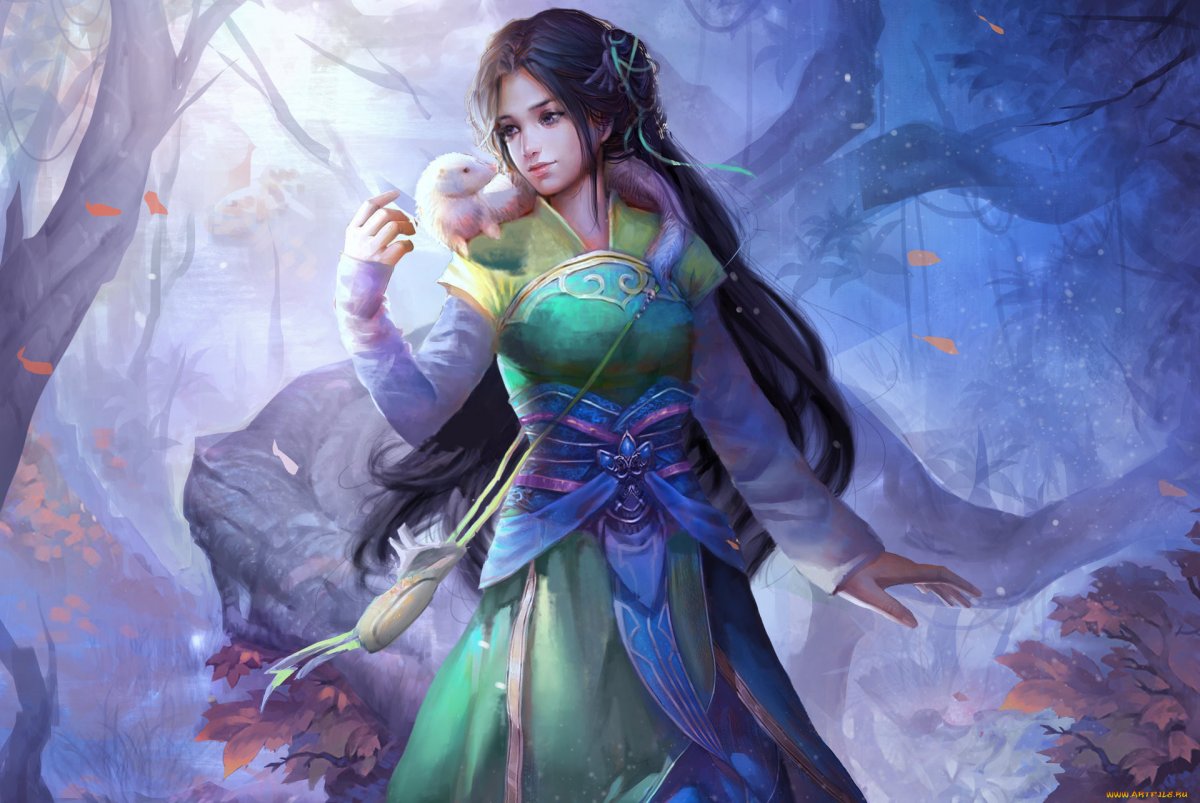 Эльфийка ассасин