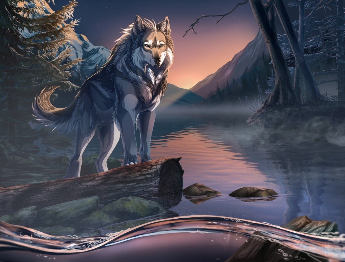 Волк фэнтези арт