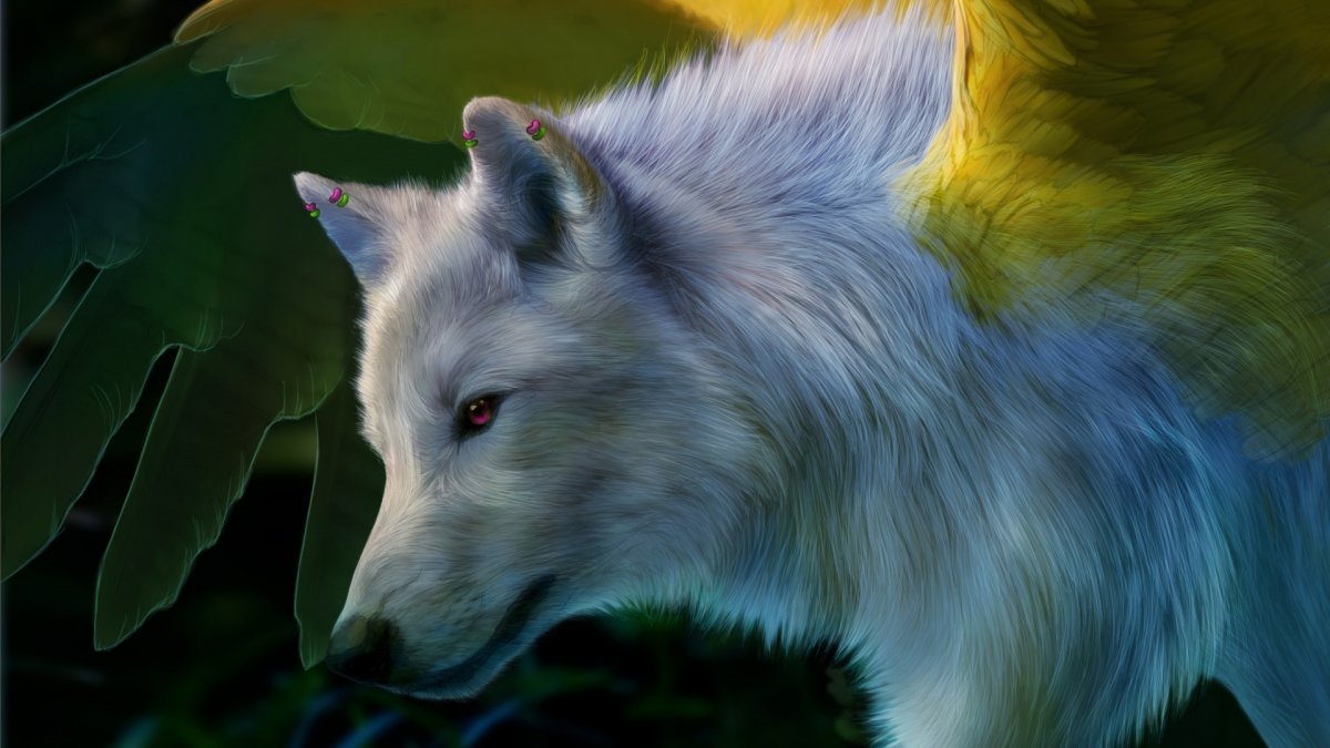 Волк красивый арт