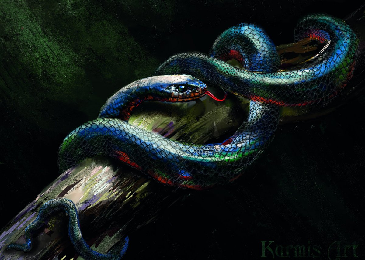 Аспиды гадюки