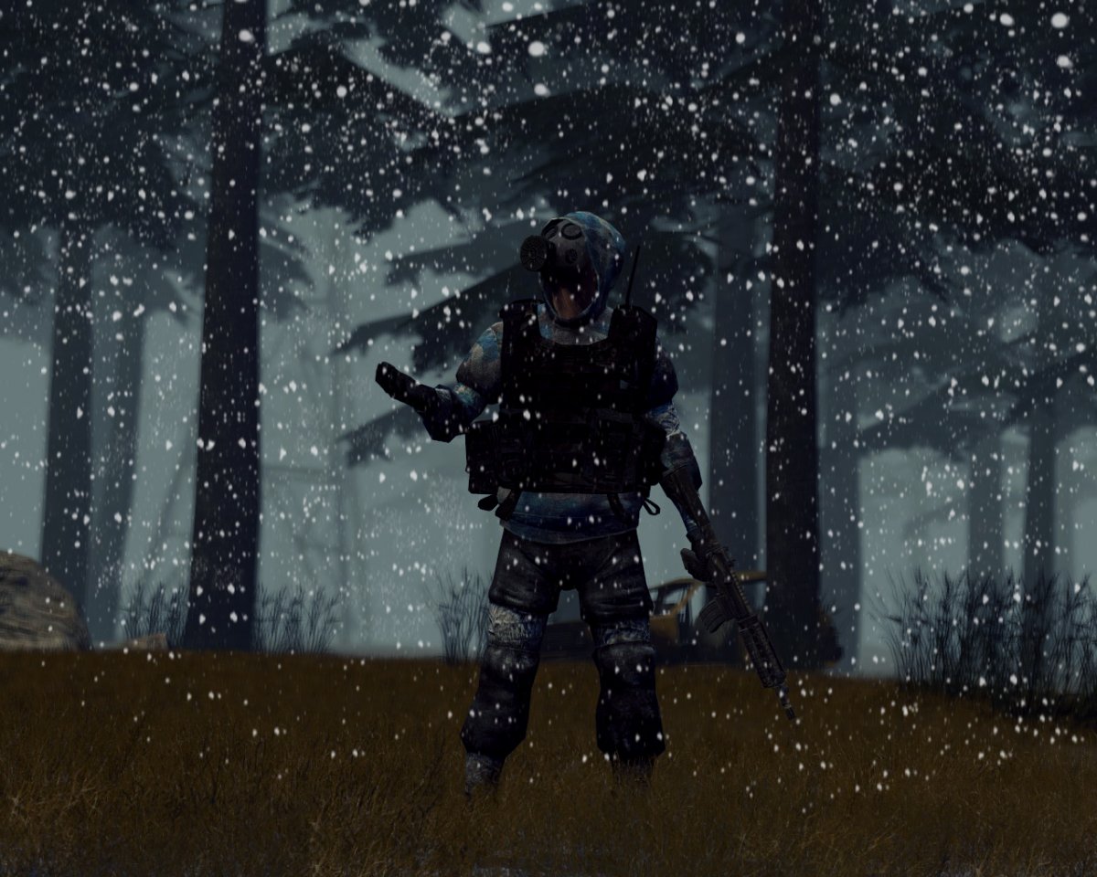 Сталкер монолит зима