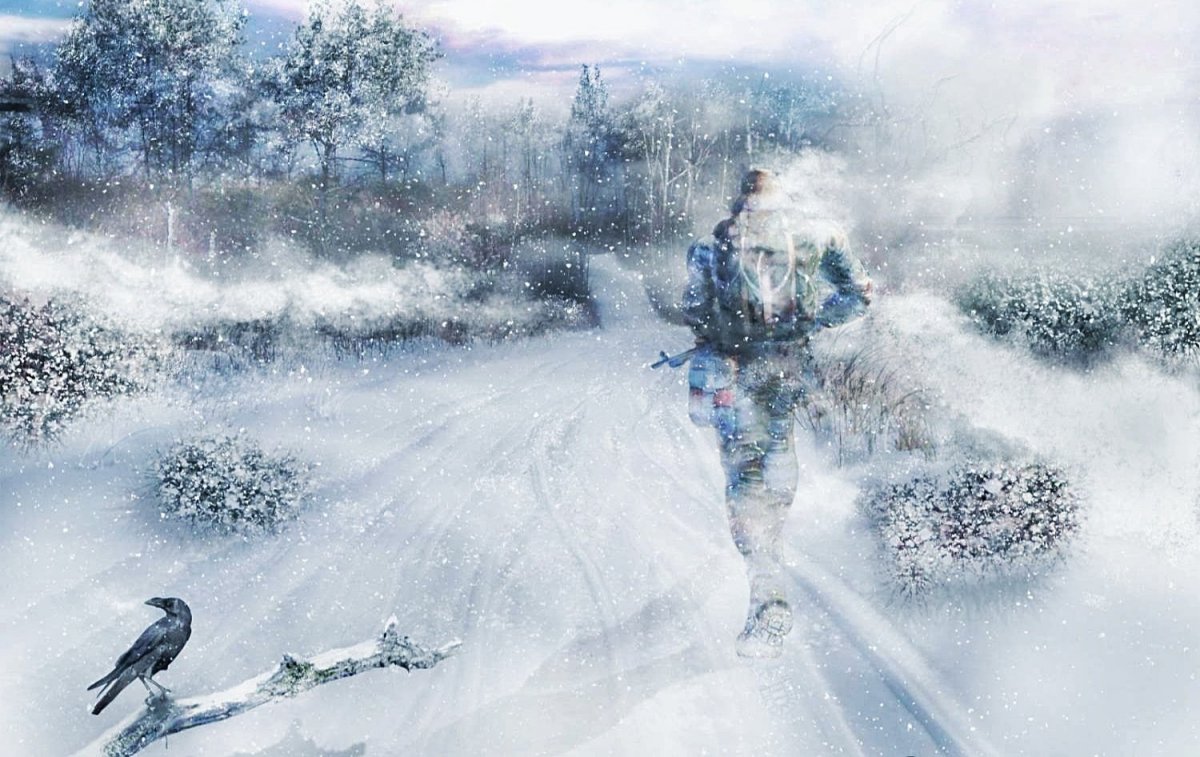 Сталкер зима арт