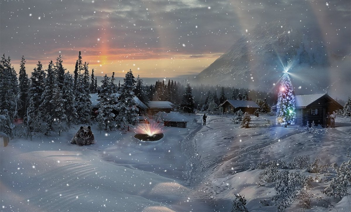 Сталкер новый год