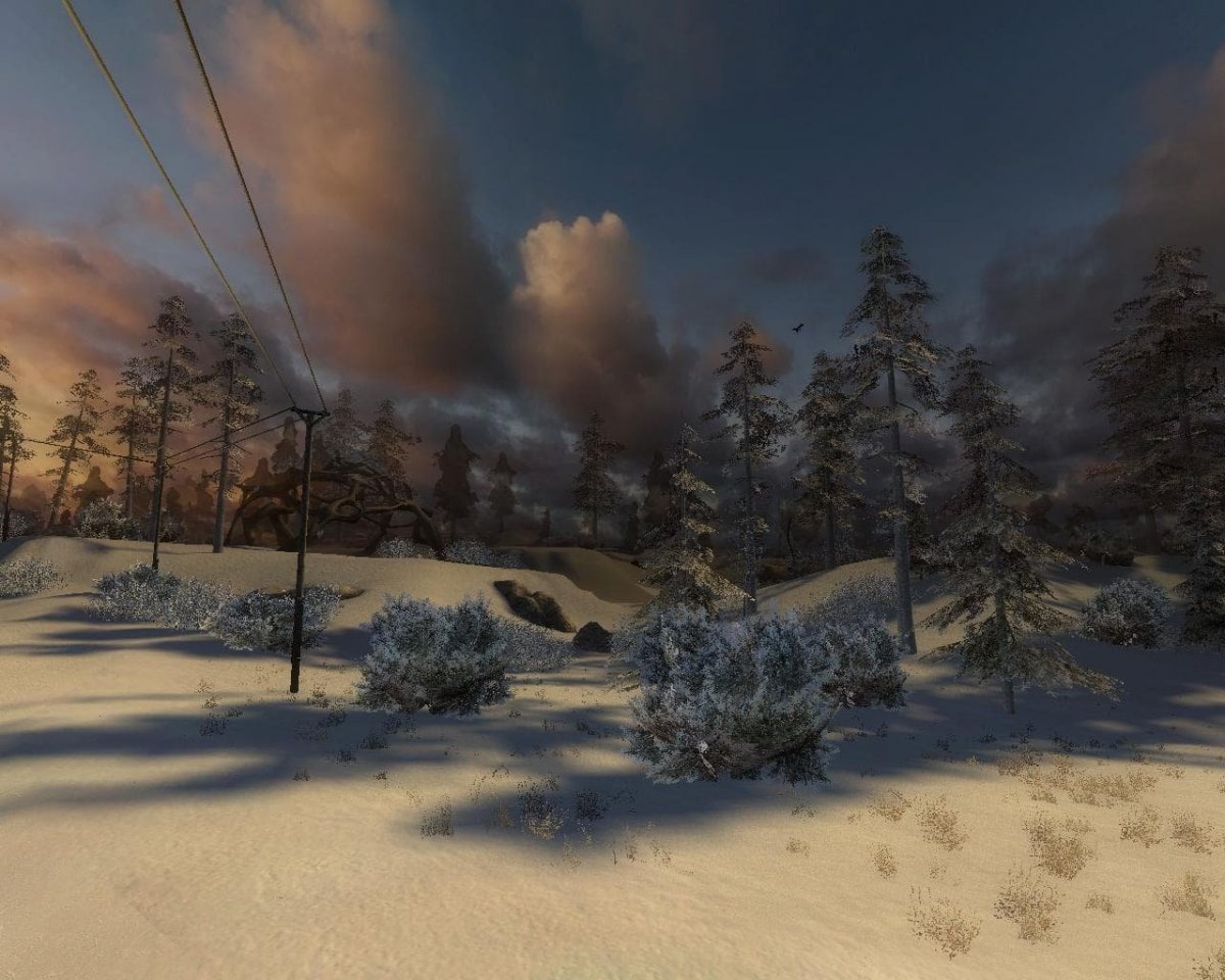 Сталкер зимний путь