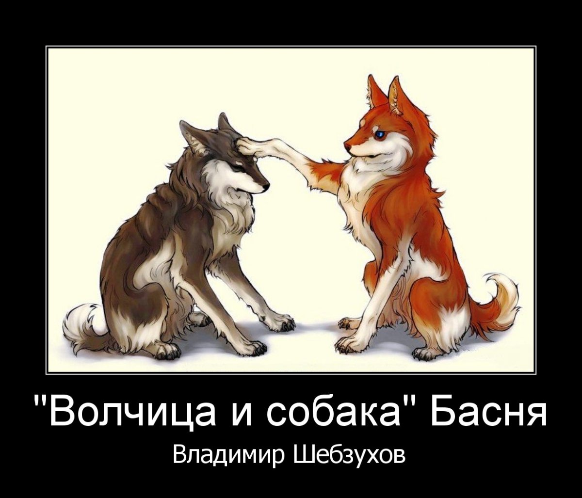 Лис и волк