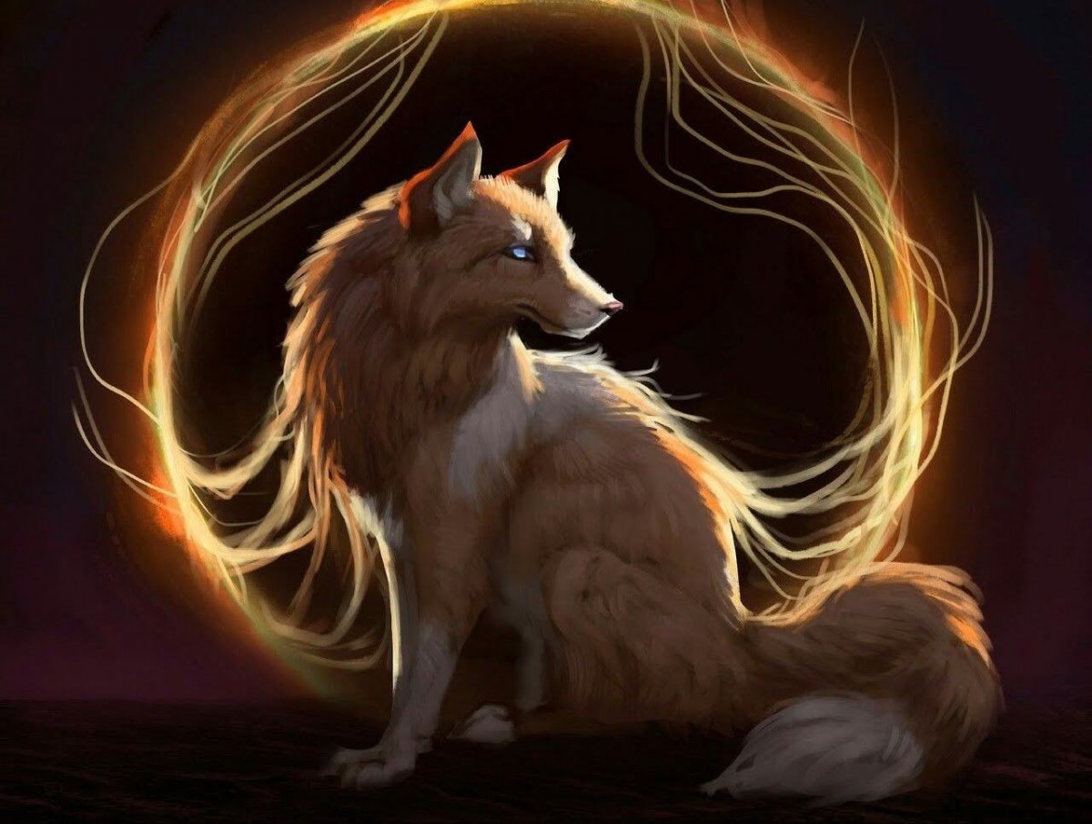 Кицунэ Огненная лиса арт