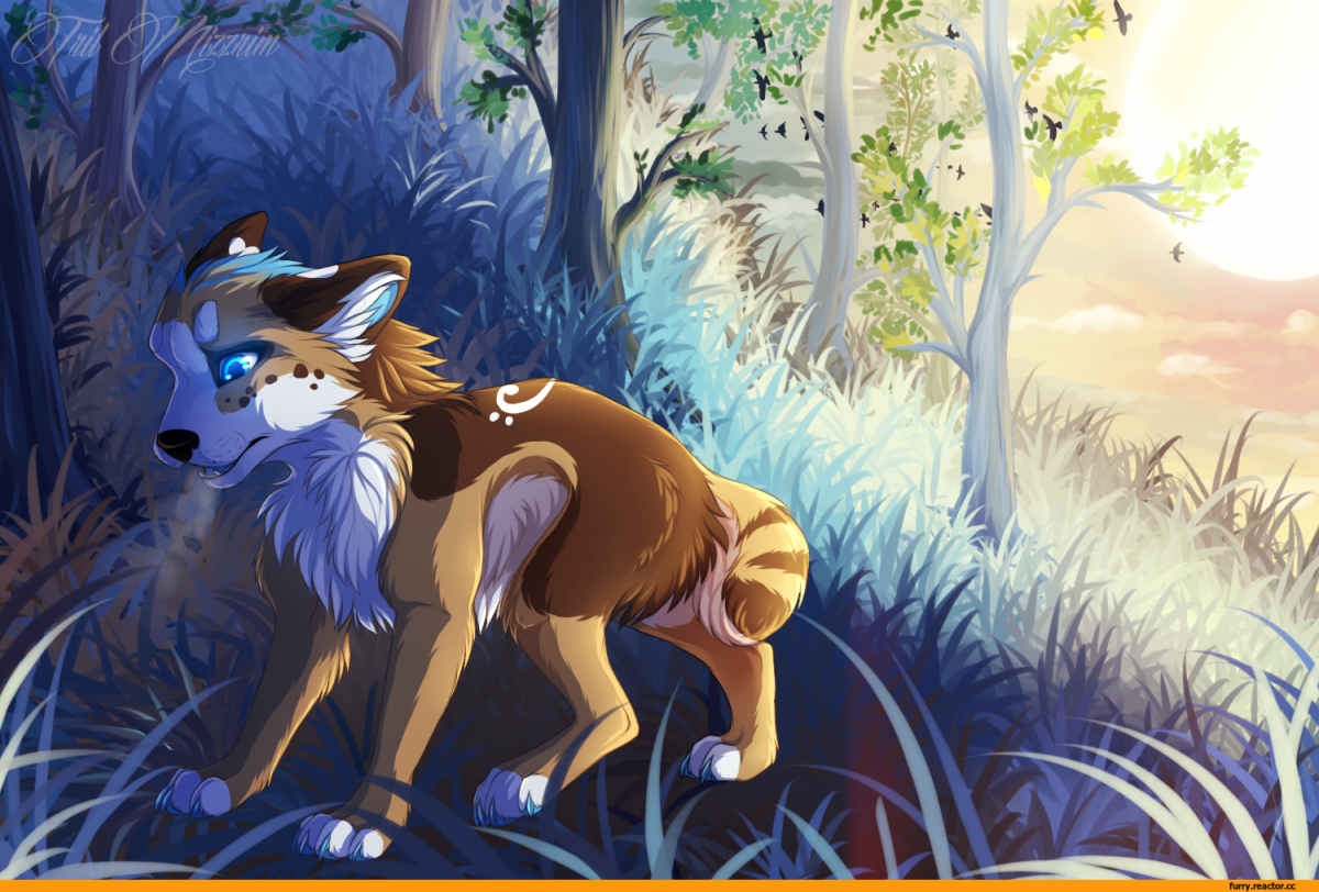 Аниме волчица