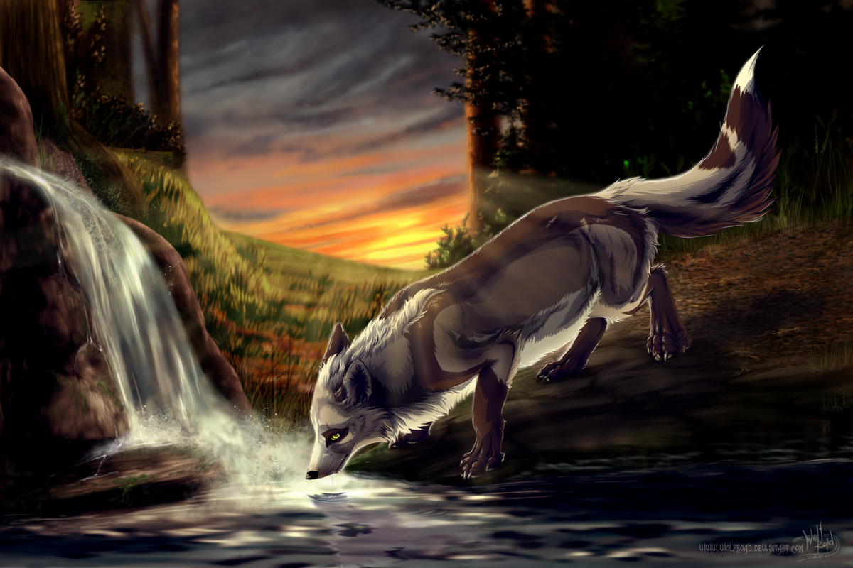 Волк фэнтези арт