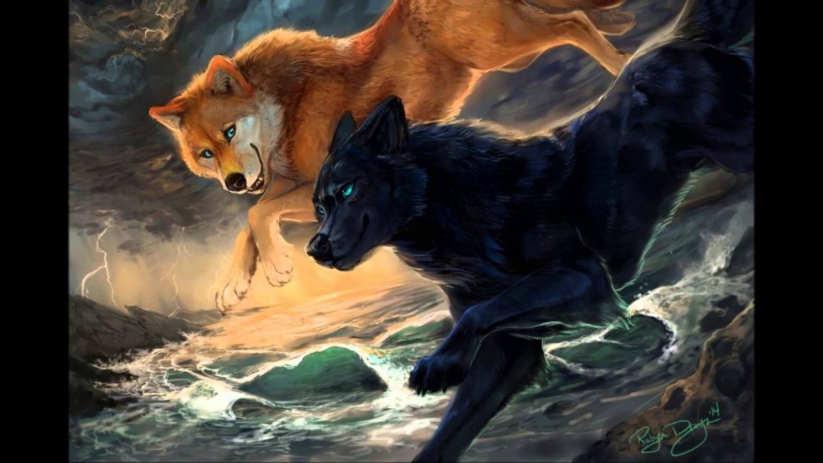 Черный и белый волк арт