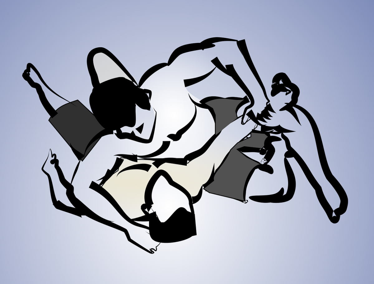 Вольная борьба вектор