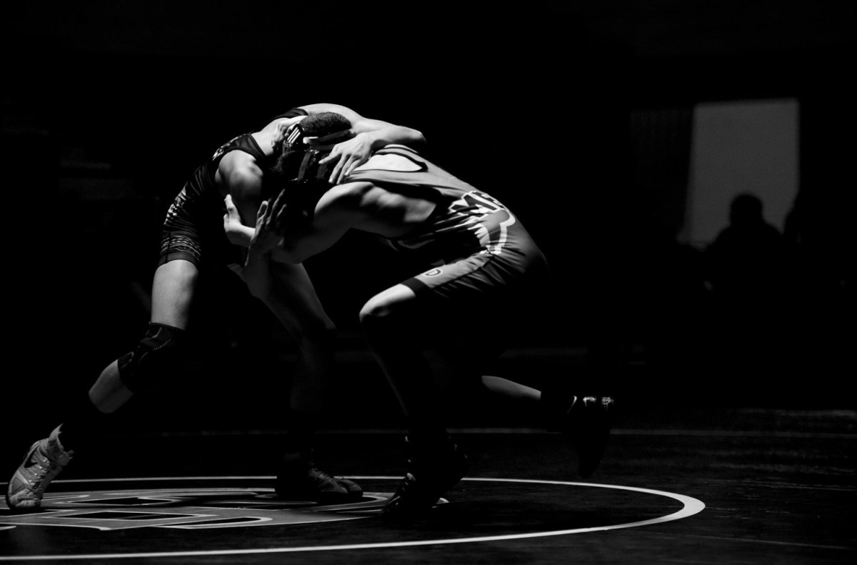 Вольная борьба Эстетика