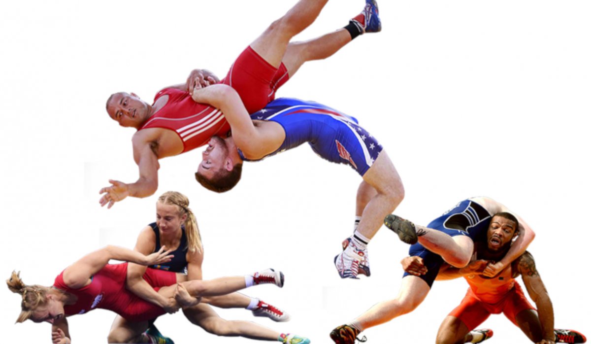 Греко Римская борьба вектор