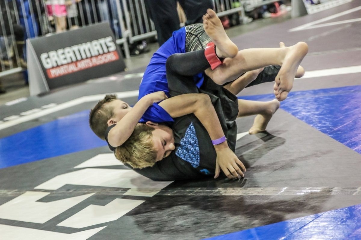 Смешанные боевые искусства