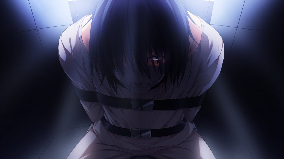 Смирительная рубашка арт