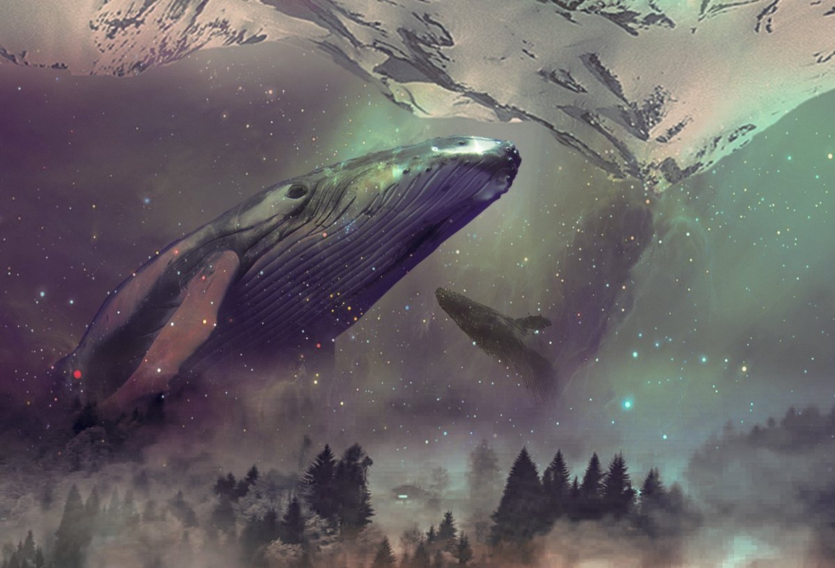 Летающий кит арт