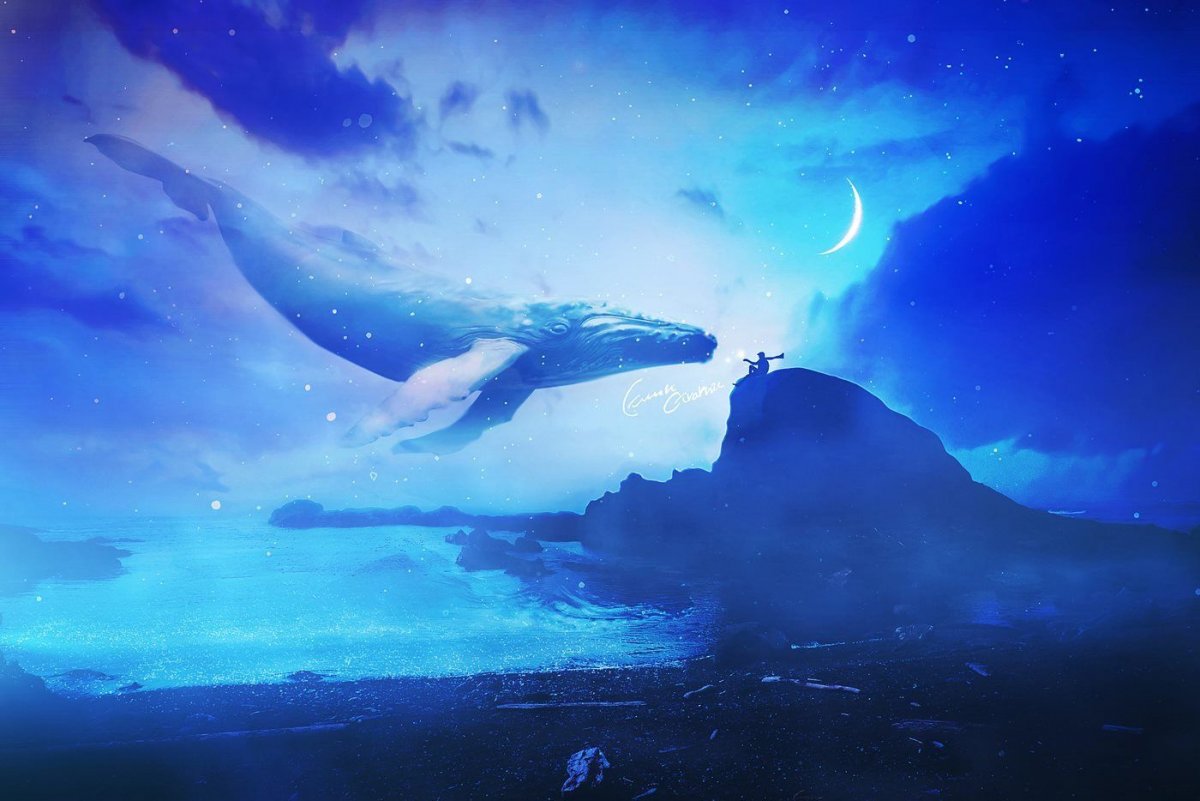 Кит в небе арт