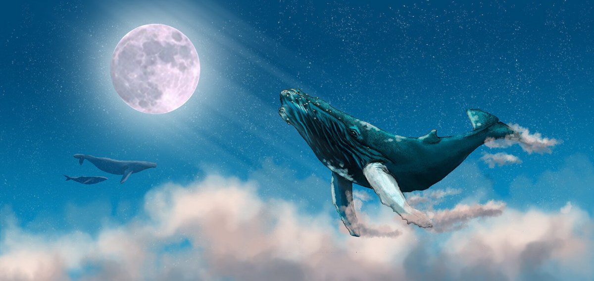 Летающий кит