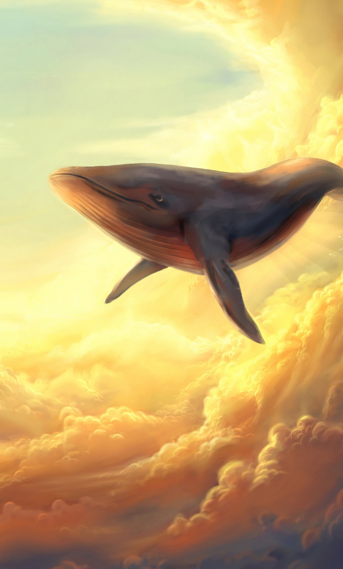 Летающий кит