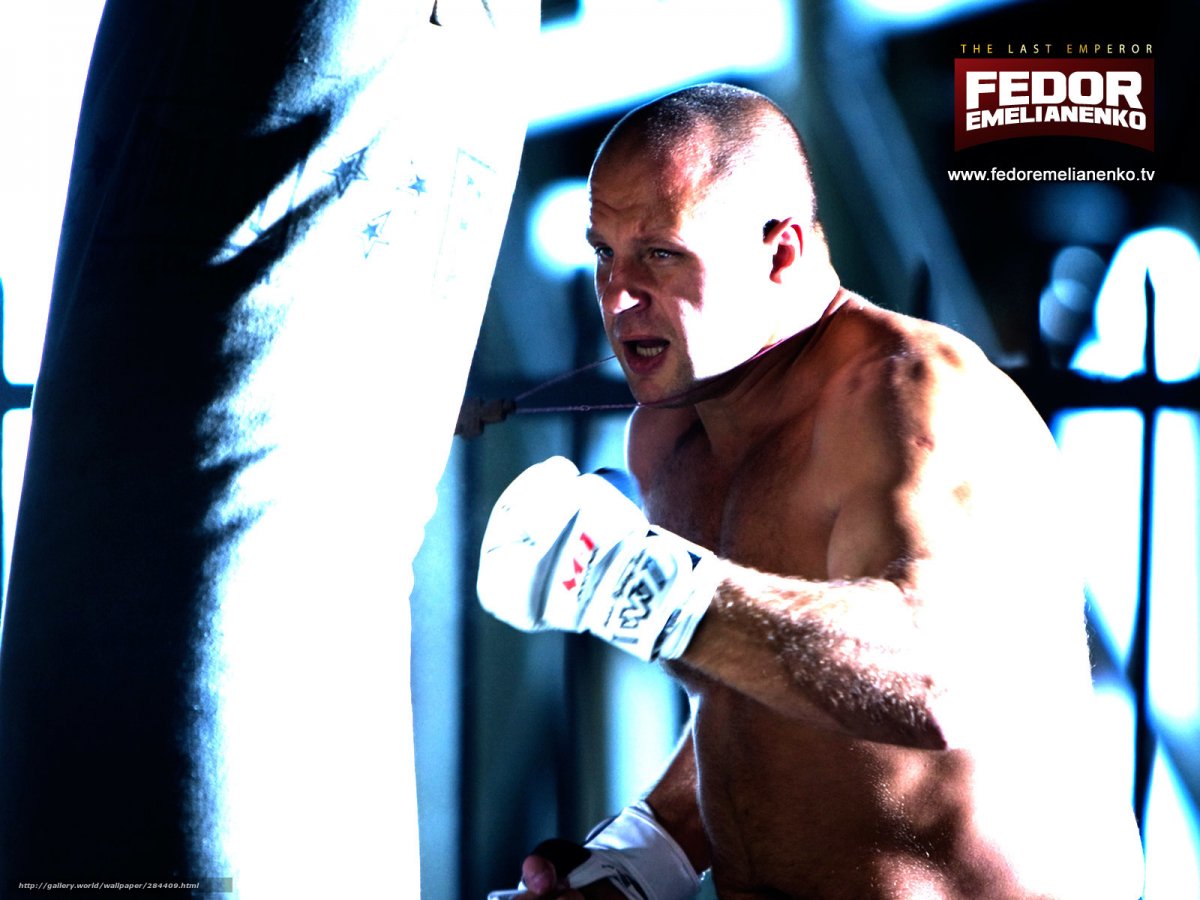 Федор Емельяненко самбо
