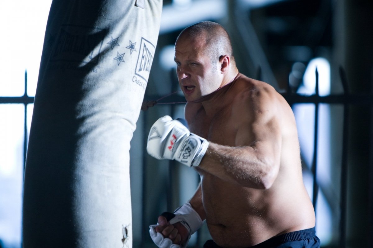 Федор Емельяненко боец