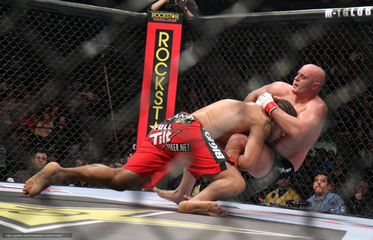 Емельяненко спорт Федор