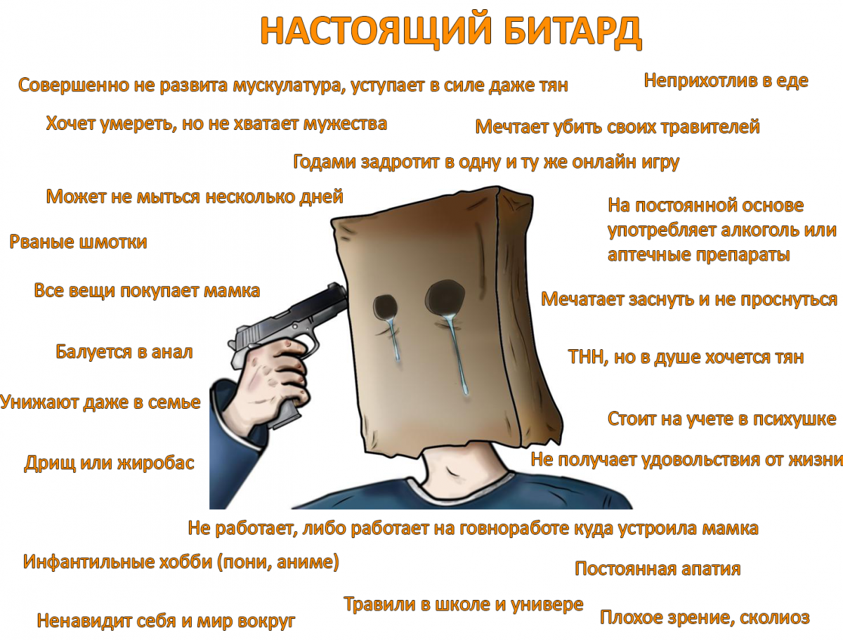 Битард Двач