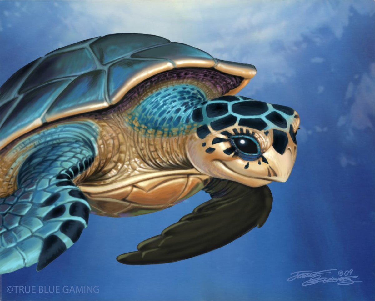 Морская черепаха арт
