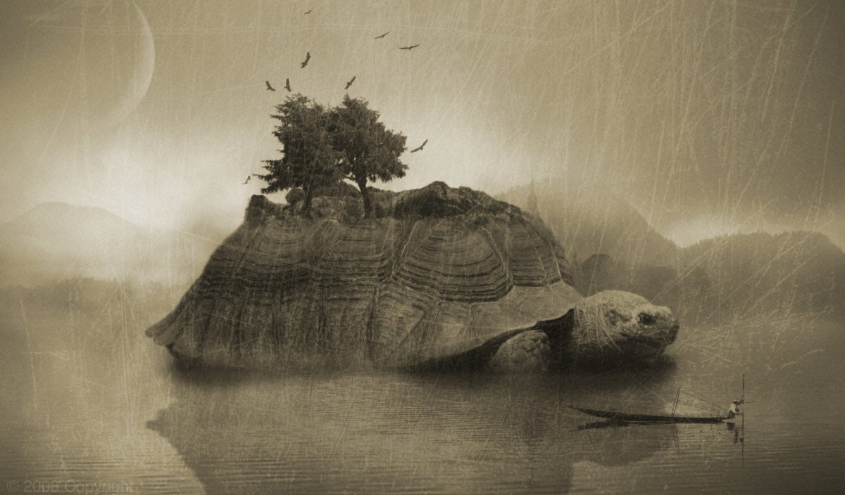 Черепаха арт