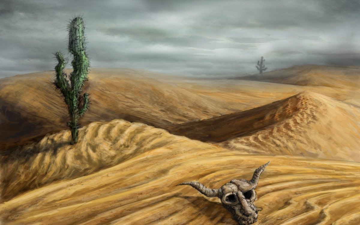 Пустыня череп Пустошь Concept Art