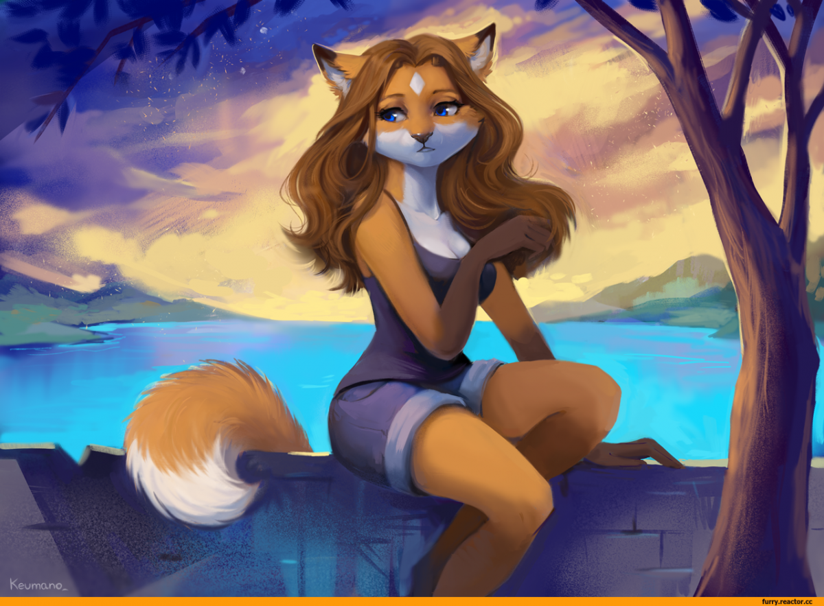 Фурри furotica Fox