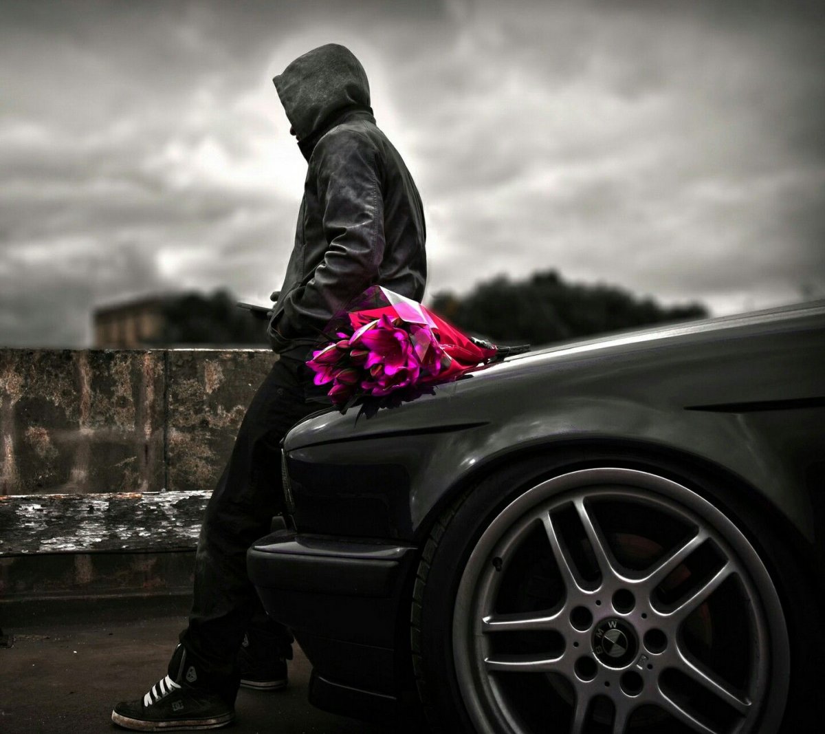 Гокудера Хаято оборотень