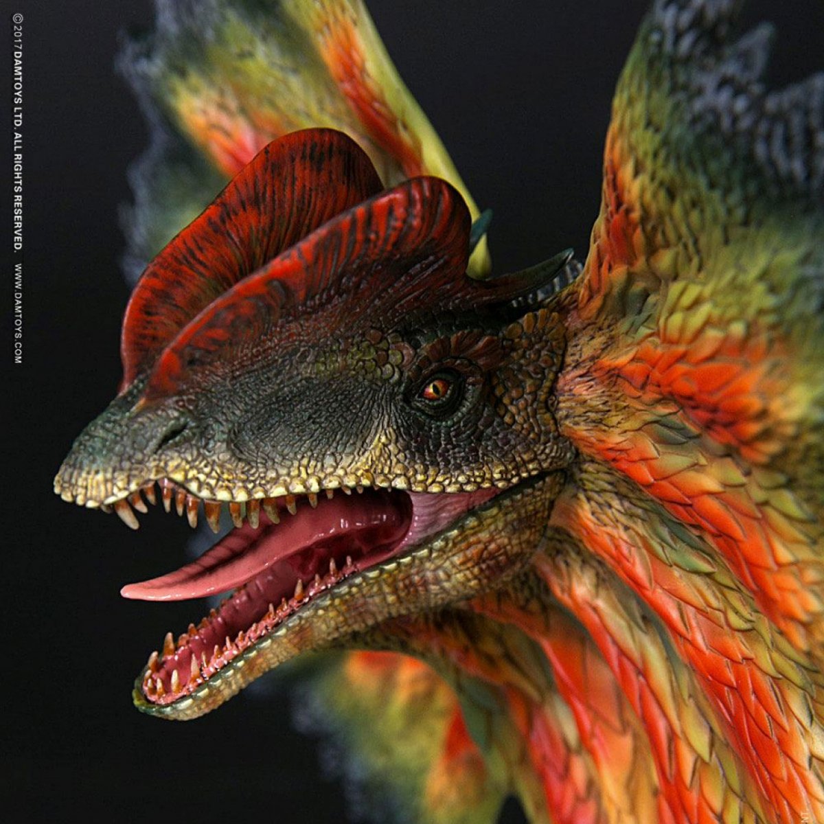 Dilophosaurus sinensis