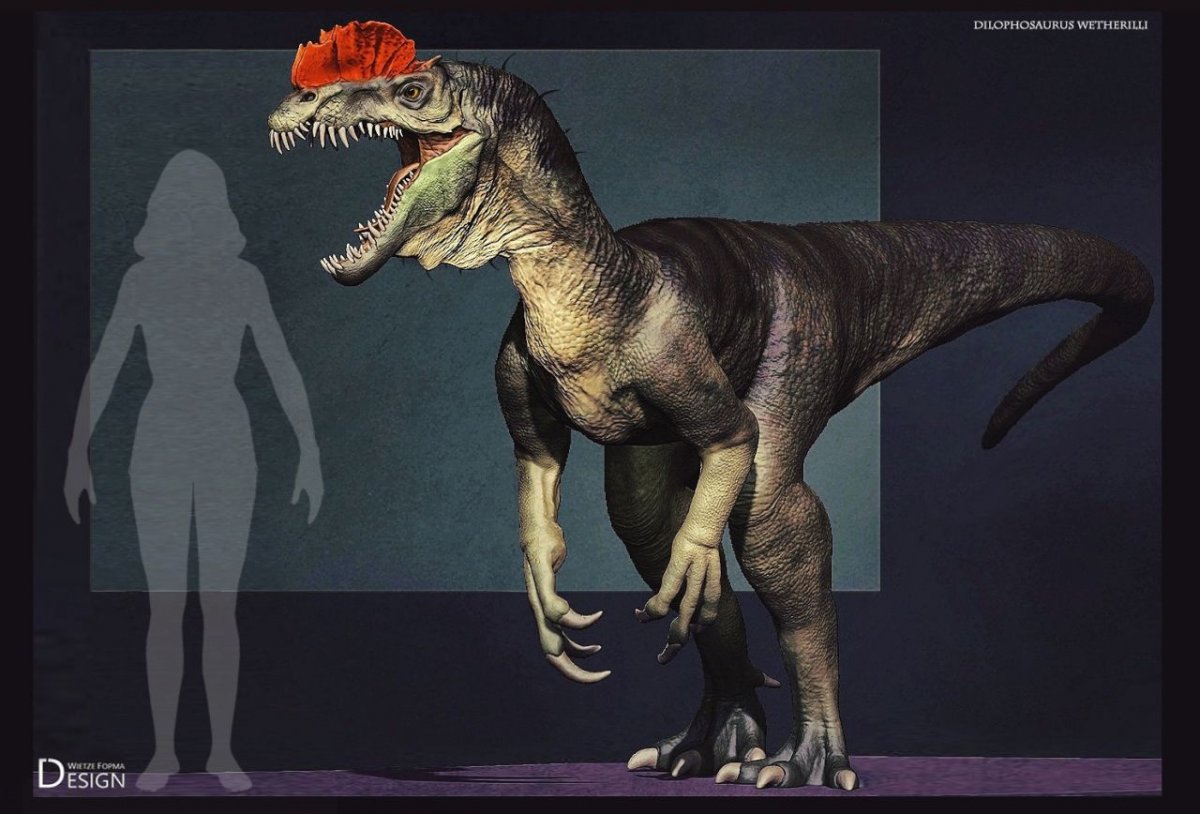 Дилофозавр анатомия