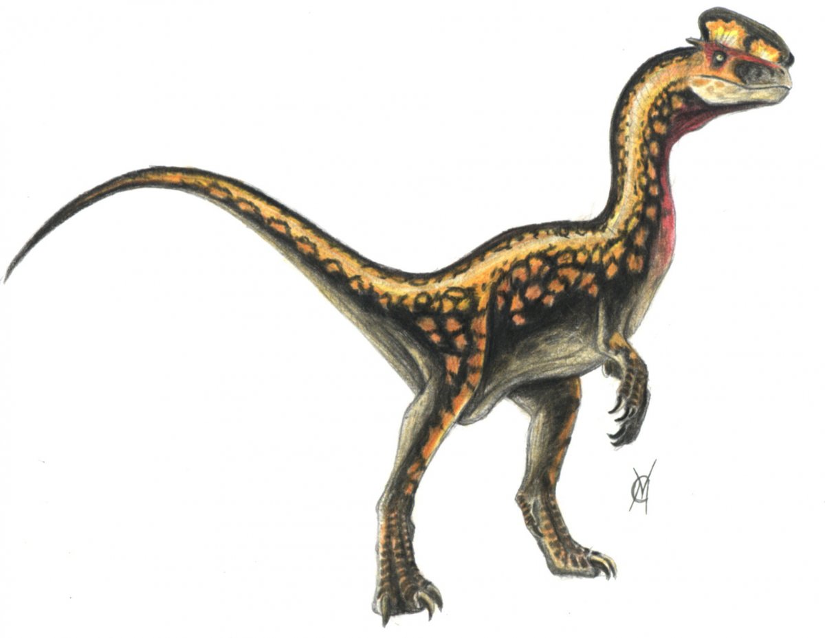 Дилофозавр с воротником