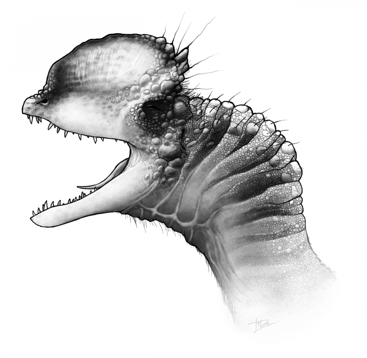 Анатомия дилофозавра